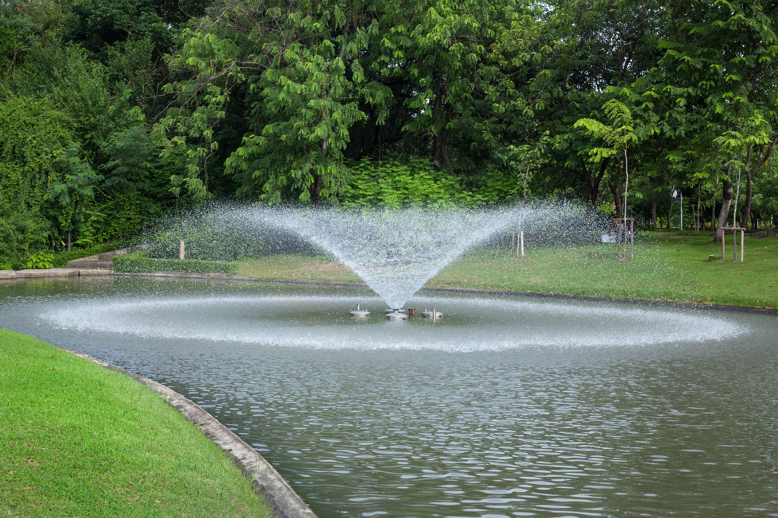 Fountain in the garden Water fountain in a lush park.